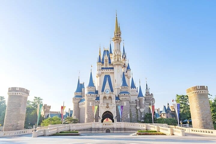 Билет в Tokyo Disneyland и совместный трансфер — 4