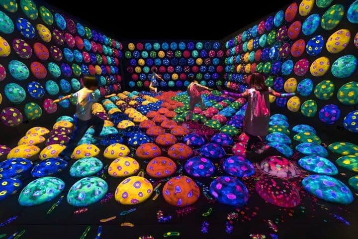 Киото: входной билет в teamLab Biovortex — 4