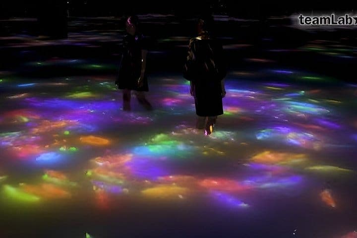 Только билет в teamLab Planets в Токио — 5