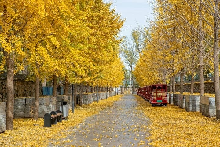 Билет в парк Юаньминъюань (Старый летний дворец) в Пекине — 5
