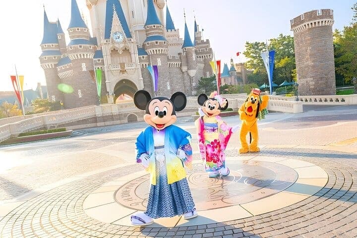 Билет в Tokyo Disneyland и совместный трансфер — 2