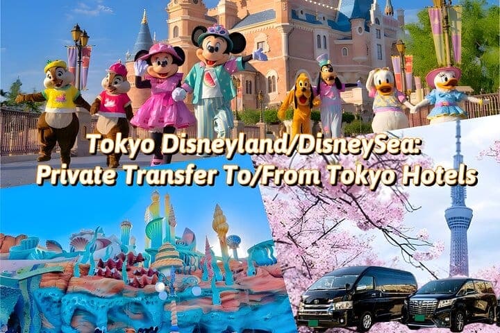 Tokyo Disneyland / Tokyo DisneySea: индивидуальный трансфер в/из отелей Токио