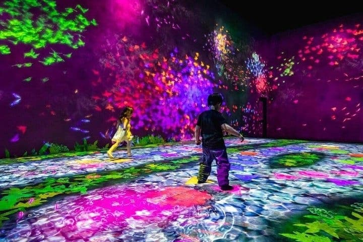 Только билет в teamLab Borderless в Токио — 4