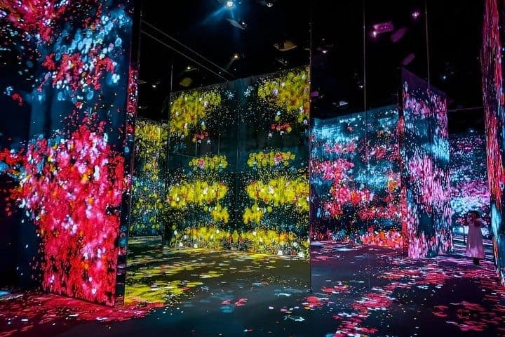 Только билет в teamLab Borderless в Токио — 2
