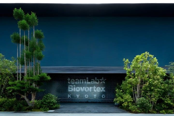 Киото: входной билет в teamLab Biovortex — 2