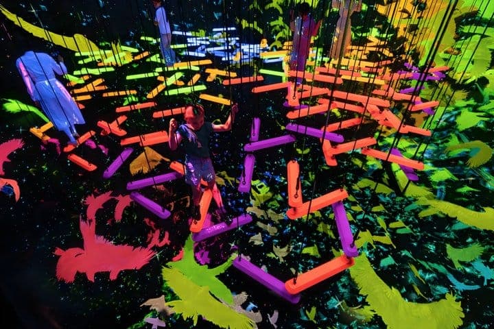 Киото: входной билет в teamLab Biovortex — 3