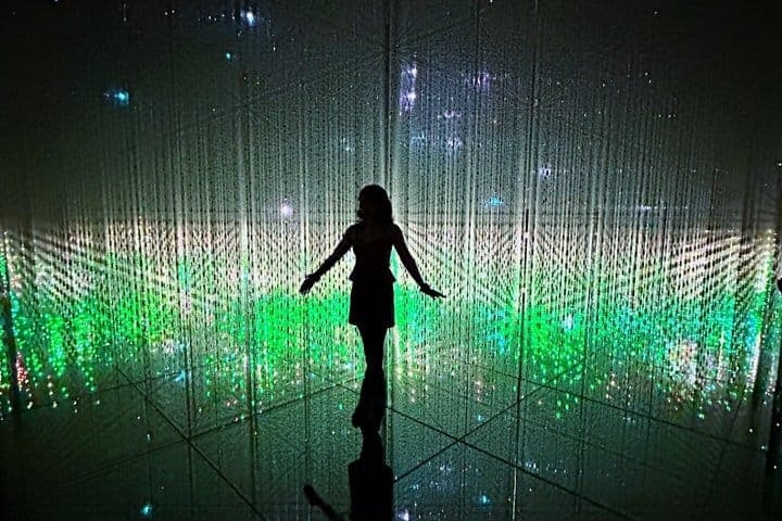 Токио: входной билет в teamLab Borderless с индивидуальным трансфером из отеля — 4