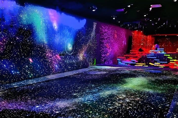Токио: входной билет в teamLab Planets и 24-часовой билет на метро — 2