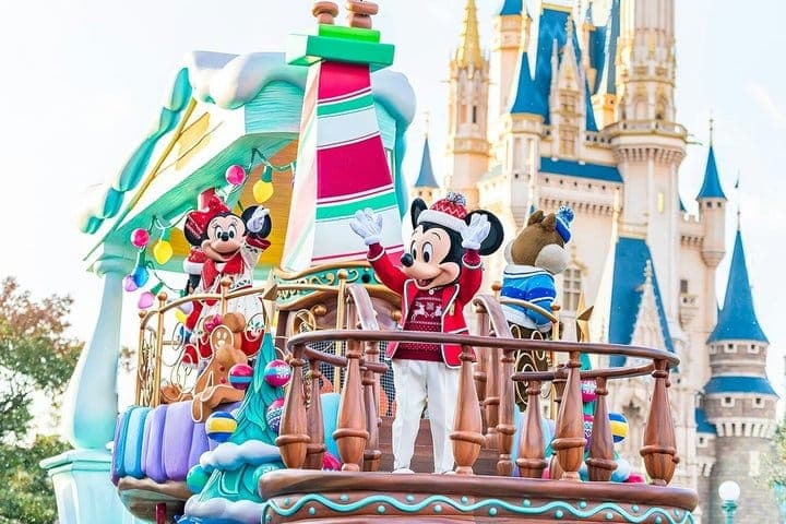 Аэропорт Нарита (NRT): индивидуальный трансфер в/из Tokyo Disney Resort — 3