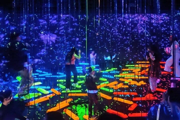 Токио: входной билет в teamLab Planets с индивидуальным трансфером из отеля