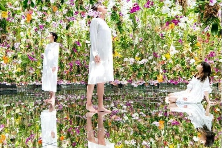 Только билет в teamLab Planets в Токио — 4