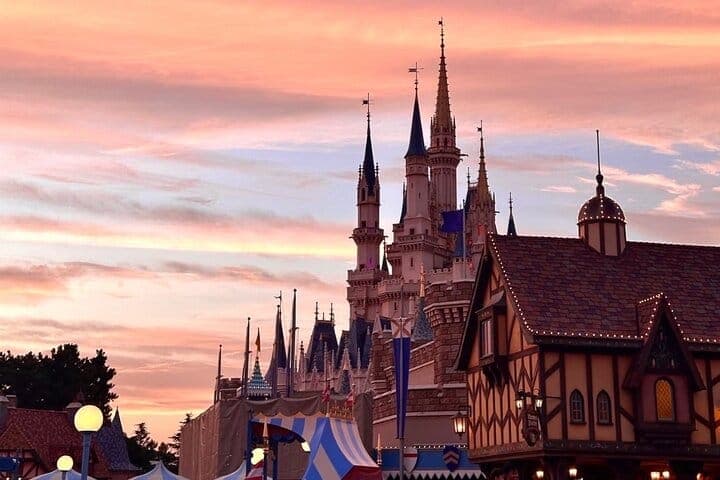 Tokyo Disney и город: индивидуальный тур, билет и трансфер в аэропорт — 3