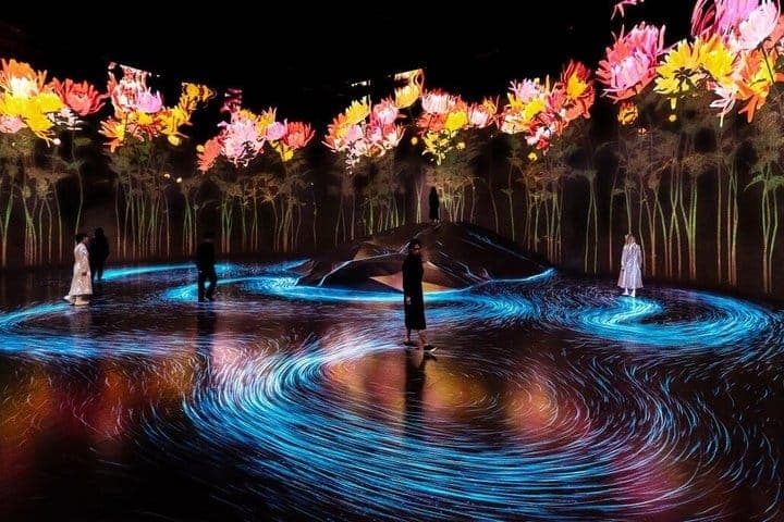 Токио: входной билет в teamLab Borderless и билет на метро — 3