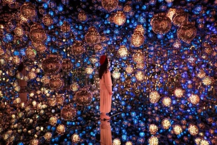 Токио: входной билет в teamLab Borderless и билет на метро