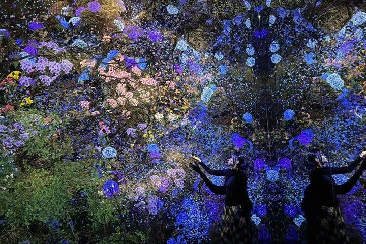 Токио: входной билет в teamLab Planets с индивидуальным трансфером из отеля — 2