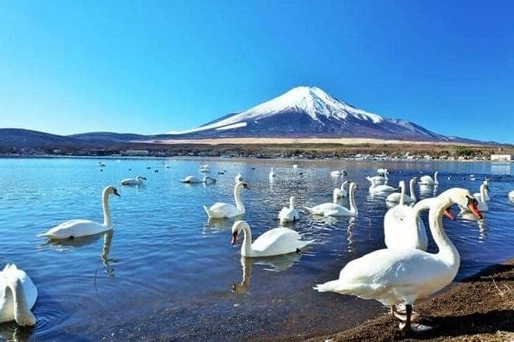 Индивидуальный тур к Фудзи: озеро Яманакако, Gotemba Premium Outlets и онсэн — 4