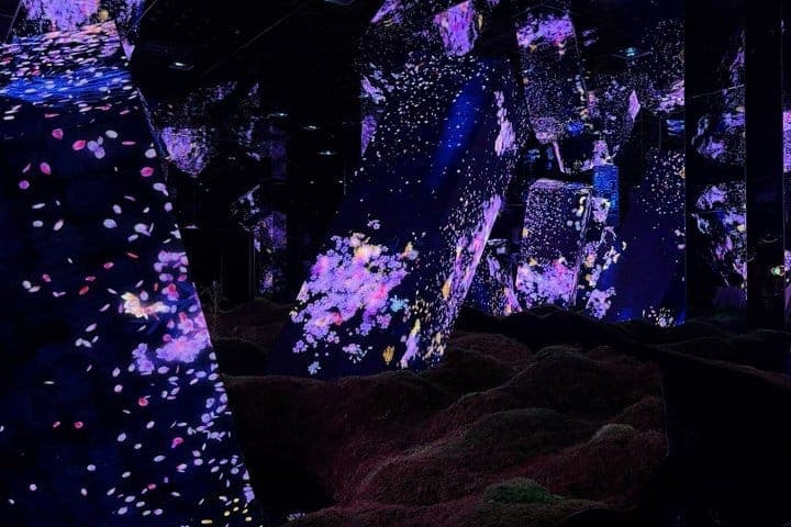 Токио: входной билет в teamLab Planets с индивидуальным трансфером из отеля — 4