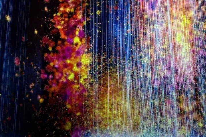 Токио: входной билет в teamLab Planets с индивидуальным трансфером из отеля — 3