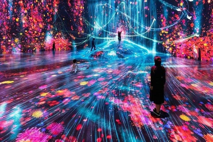 Токио: входной билет в teamLab Borderless и билет на метро — 2