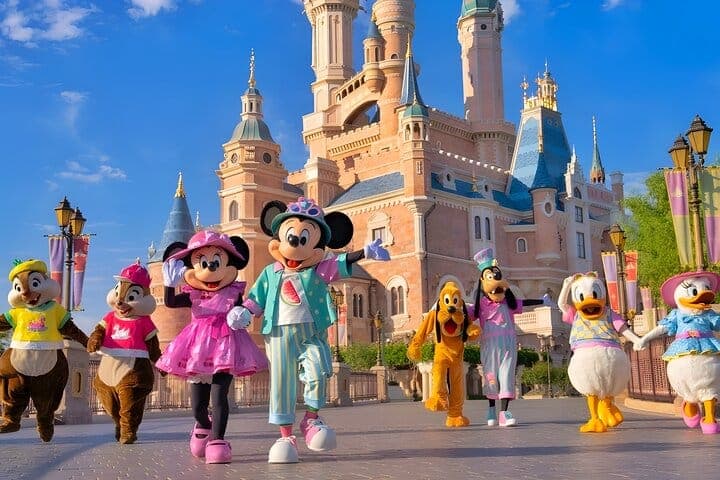 Билет в Tokyo Disneyland и дополнительный билет на метро Токио — 5